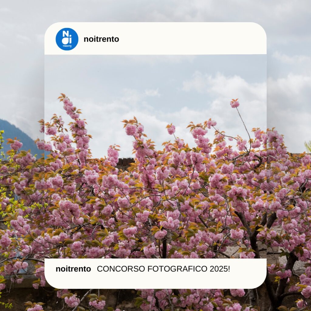 calendario 2026