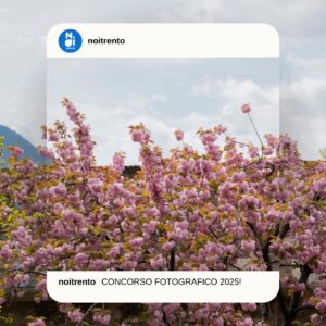 calendario 2026