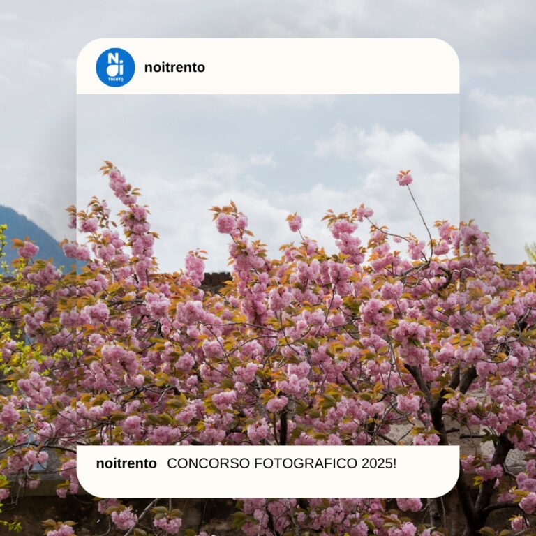 calendario 2026